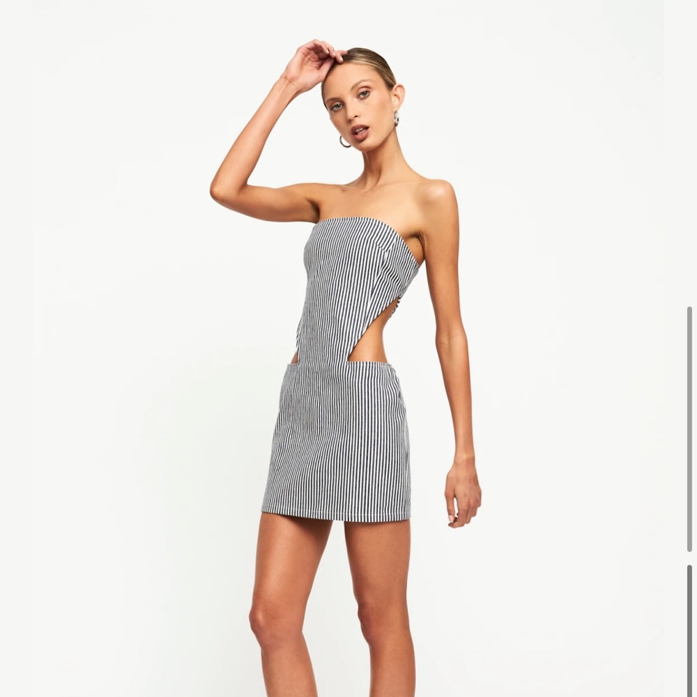 NWT lioness dress